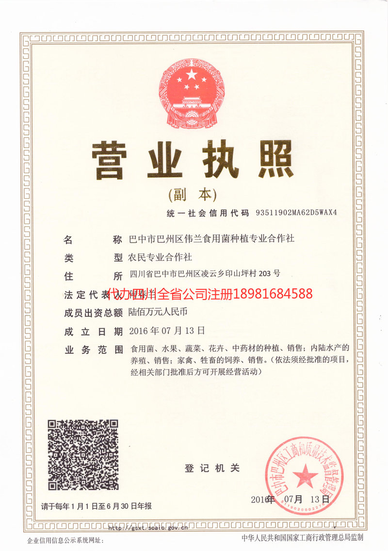 淄博淄博伟兰食用菌种植专业合作社